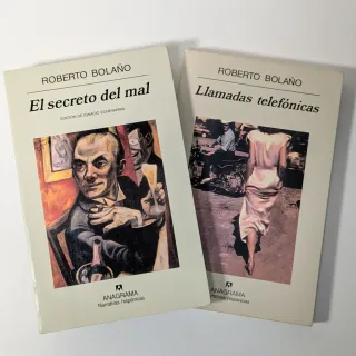 Lote Markel Bolaño