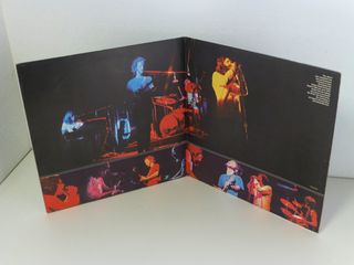 The Doors - Absolutely Live 2x Vinile LP