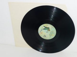 The Doors - Absolutely Live 2x Vinile LP