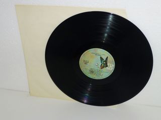 The Doors - Absolutely Live 2x Vinile LP