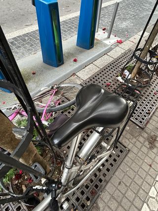 Bicicleta Paseo Clásica