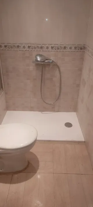 Servicios de albañilería y reformas