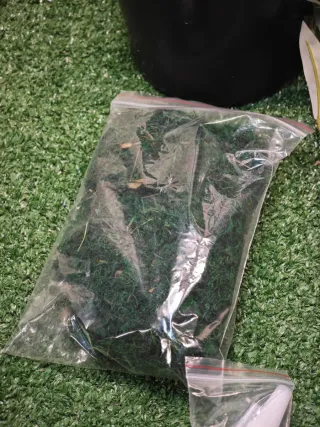 Planta Olivo Decorativa Verde Plástico