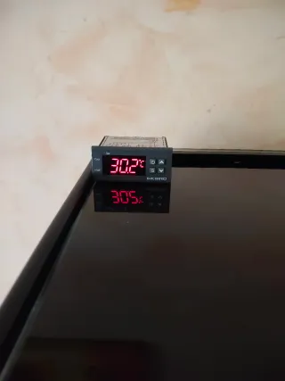 Acuario-Terrario con tronco y decoración