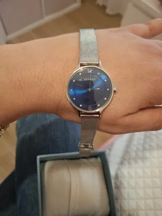 Reloj Skagen Anita Mujer Acero Plateado Azul
