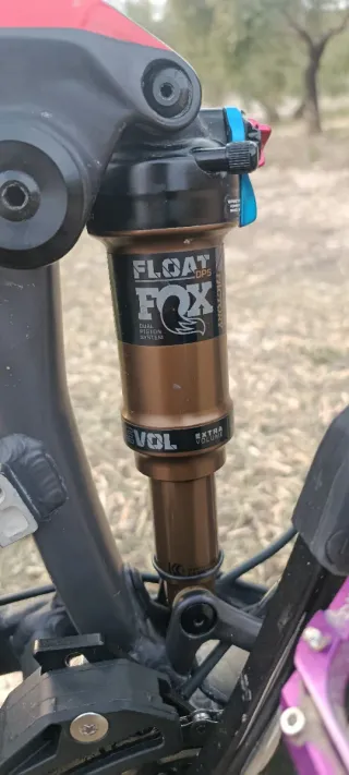 Bicicleta de Montaña