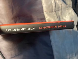 La Maternitat d'Elna - Assumpta Montellà