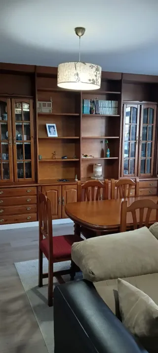 Librería de pino marrón