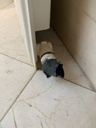 Radiador de calefacción agua caldera