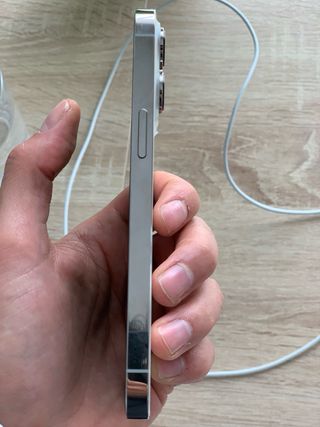 iPhone 13 Pro 256GB Argento