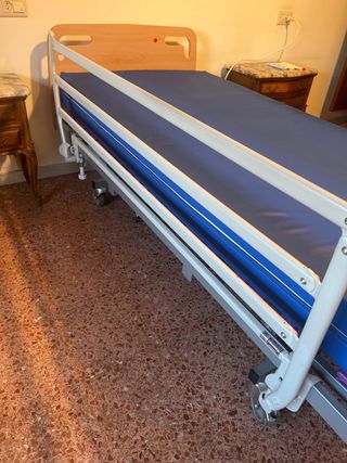 Cama articulada hospitalaria