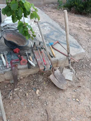 Lote Herramientas Construcción y Jardín