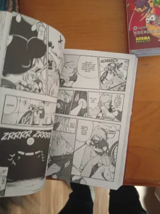 POKEMON RUBÍ Y ZAFIRO (1, 2, 3 y 4)