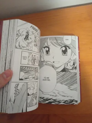 POKEMON RUBÍ Y ZAFIRO (1, 2, 3 y 4)