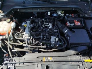 Ford Focus 1.0 Ecoboost MHEV Trend+ 92 kW (125 CV)