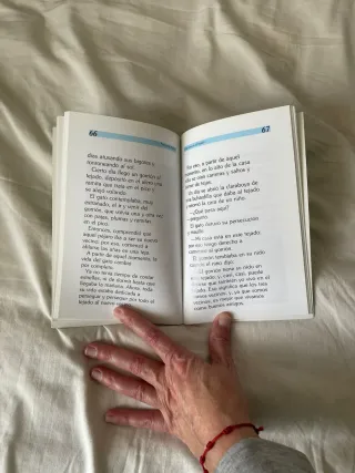 Libro El Faro del Viento