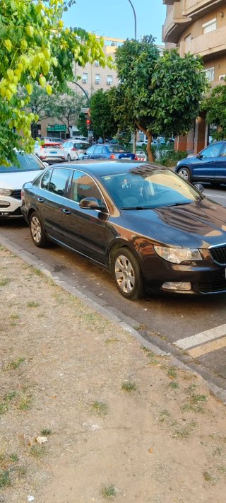 Piloto trasero Skoda Superb - SOLO Portalámparas