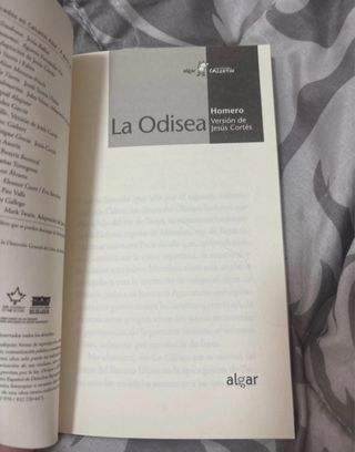 La Odisea (Calcetin) (Spanish Edition)