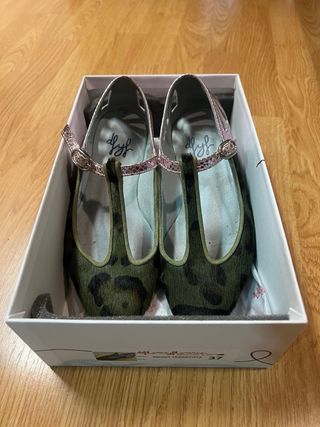 Bailarinas verdes y rosas, de Flores y Floreros