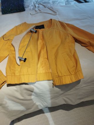 Cazadora amarilla verano