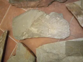 Piedras de pizarra