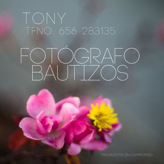 Bautizos, fotógrafo