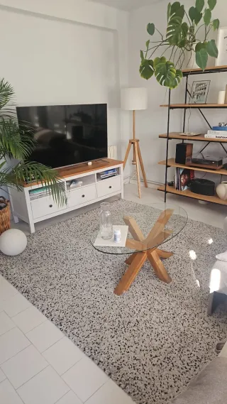 Alfombra IKEA VINDUM 200x270 Gris