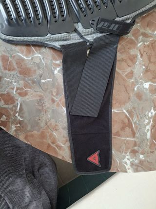 Espaldera Dainese Protector Moto