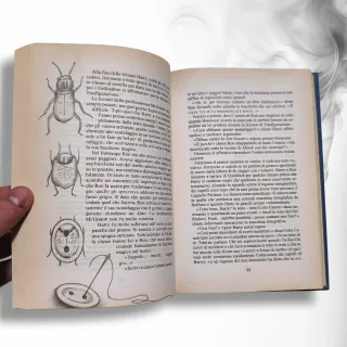 Harry Potter E la Camera Dei Segreti MONDOLIBRI