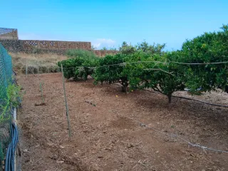 Terreno Rústico