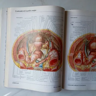 Atlas de Anatomia Humana