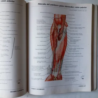 Atlas de Anatomia Humana