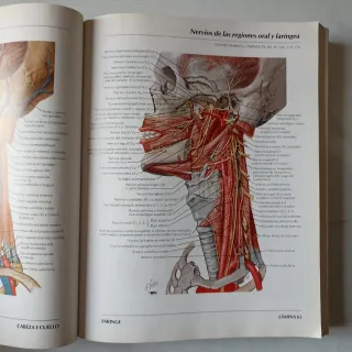 Atlas de Anatomia Humana