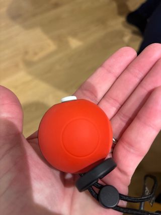 Bola Pokémon Nintendo