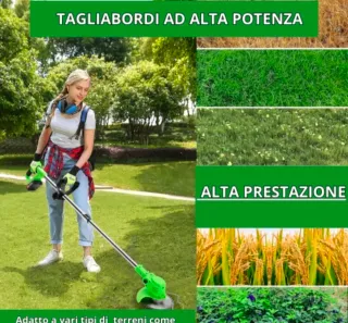 Decespugliatore Elettrico 2 Batteria Tagliabordi