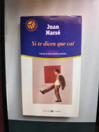 Si te dicen que caí