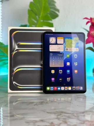iPad Pro M4 GARANTIA