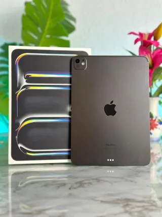 iPad Pro M4 GARANTIA