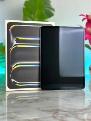 iPad Pro M4 GARANTIA