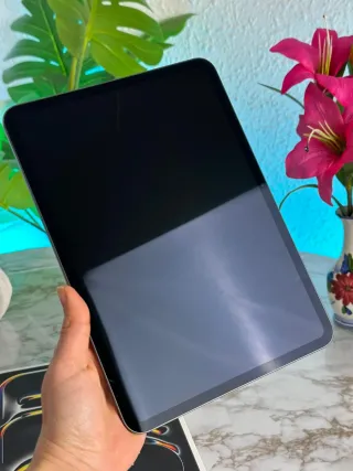 iPad Pro M4 GARANTIA