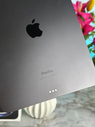 iPad Pro M4 GARANTIA