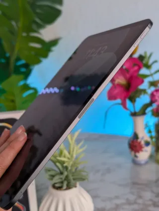 iPad Pro M4 GARANTIA