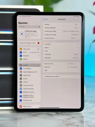 iPad Pro M4 GARANTIA