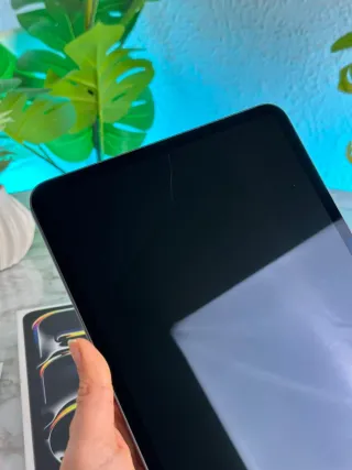 iPad Pro M4 GARANTIA