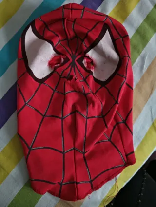 Disfraz infantil Spiderman