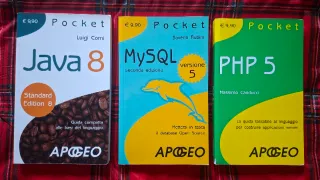 Collana informatica libri Apogeo Pocket