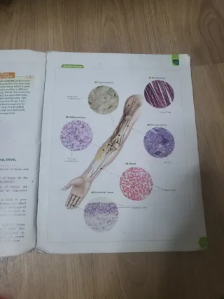 Biology and Geology 3.