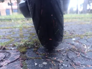 Patinete Eléctrico Ninebot E2 Pro