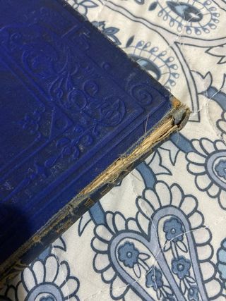 Libro Antiguo Italia. Italian pictures drawn with.