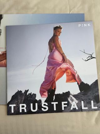 Vinilo Pink Trustfall
